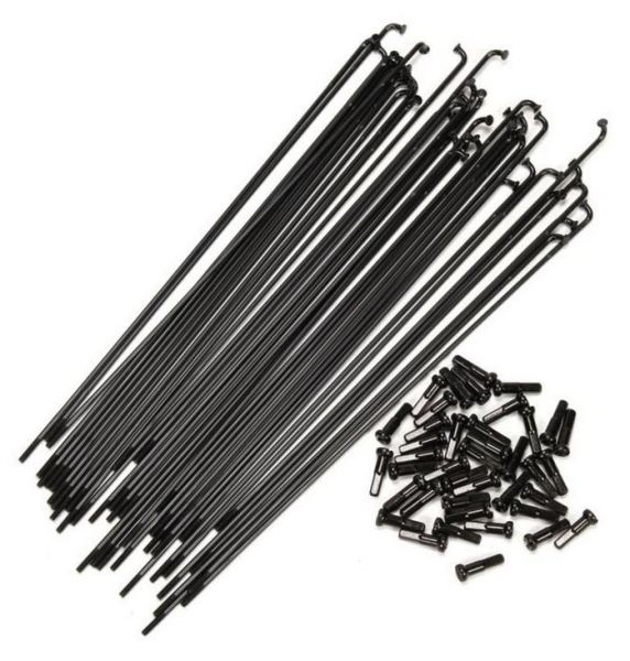FEDERAL STANCE BUTTED SPOKES - 40 raggi