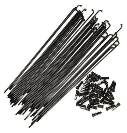 FEDERAL STANCE BUTTED SPOKES - 40 raggi