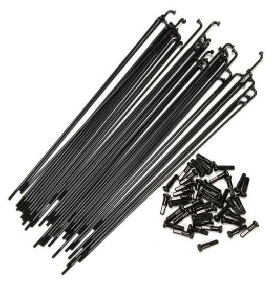 FEDERAL STANCE BUTTED SPOKES - 40 raggi