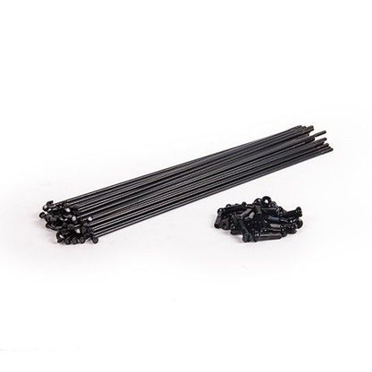ANIMAL SPOKES - 40 raggi